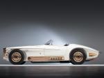 Shelby Cobra Mercer Roadster by Virgil Exner (CSX 2451) 1965 года